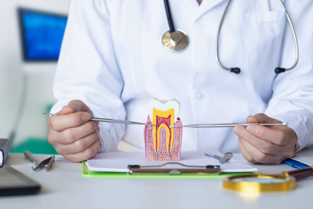 Best Emergency Dental Services for Seniors in Manning, IA